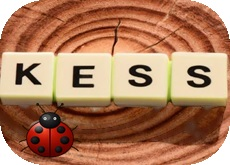 KESS